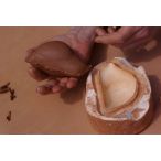 Réalisation d'un sifflet - photographie 11 Réalisation d'un sifflet - photographie 11