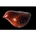 Réalisation d'un sifflet - photographie 12 Réalisation d'un sifflet - photographie 12