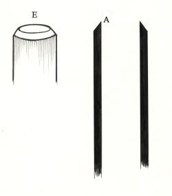 Schéma du principe de la flûte (souffle envoyé vers l'arête du biseau) sur une flûte sans conduit telle que le <i>nây</i> arabo-musulman. © Marie-Barbara Le Gonidec Schéma du principe de la flûte (souffle envoyé vers l'arête du biseau) sur une flûte sans conduit telle que le <i>nây</i> arabo-musulman. © Marie-Barbara Le Gonidec