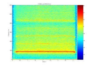 Spectrogramme du sifflet n° 3. © PHASE, Université de Toulouse Spectrogramme du sifflet n° 3. © PHASE, Université de Toulouse