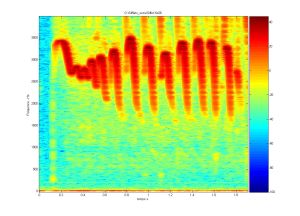 Spectrogramme du sifflet n° 26. © PHASE, Université de Toulouse Spectrogramme du sifflet n° 26. © PHASE, Université de Toulouse